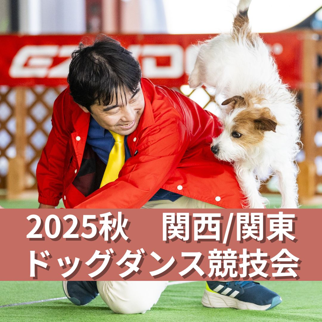 2025秋 関西/関東ドッグダンス競技会