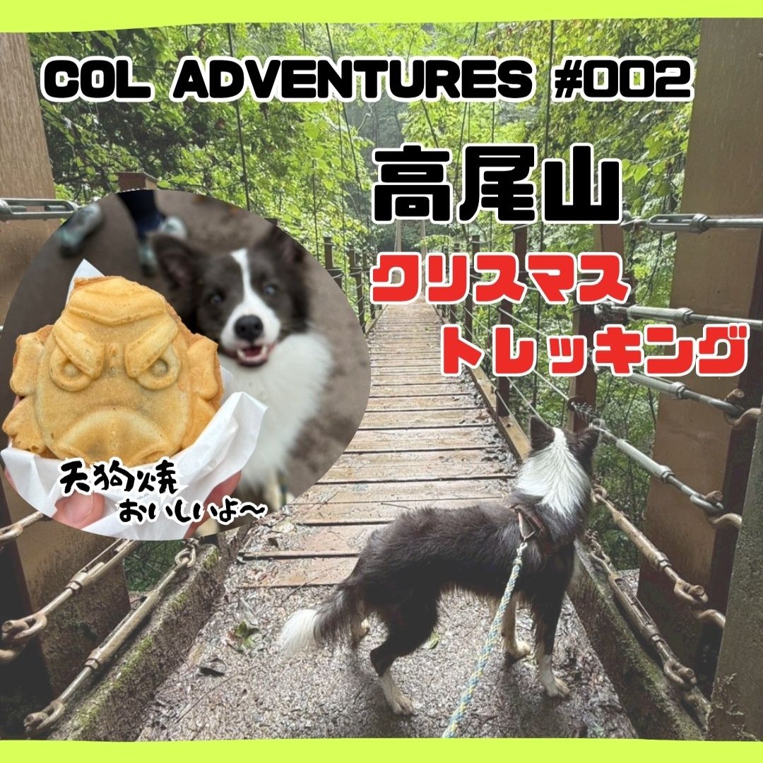 COL ADVENTURES #002 高尾山クリスマストレッキング