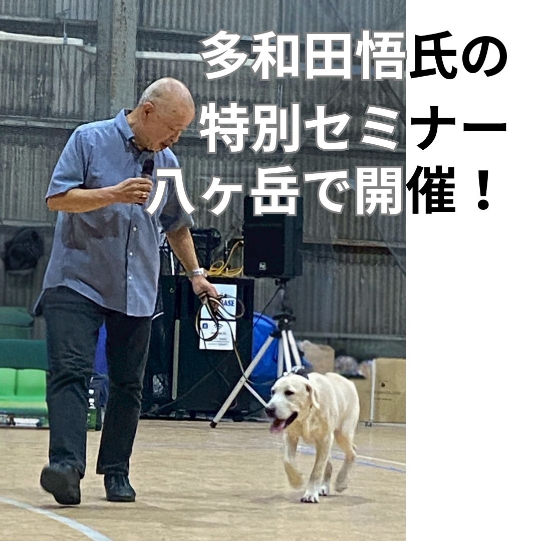 多和田悟氏の特別セミナー&ディナーin八ヶ岳