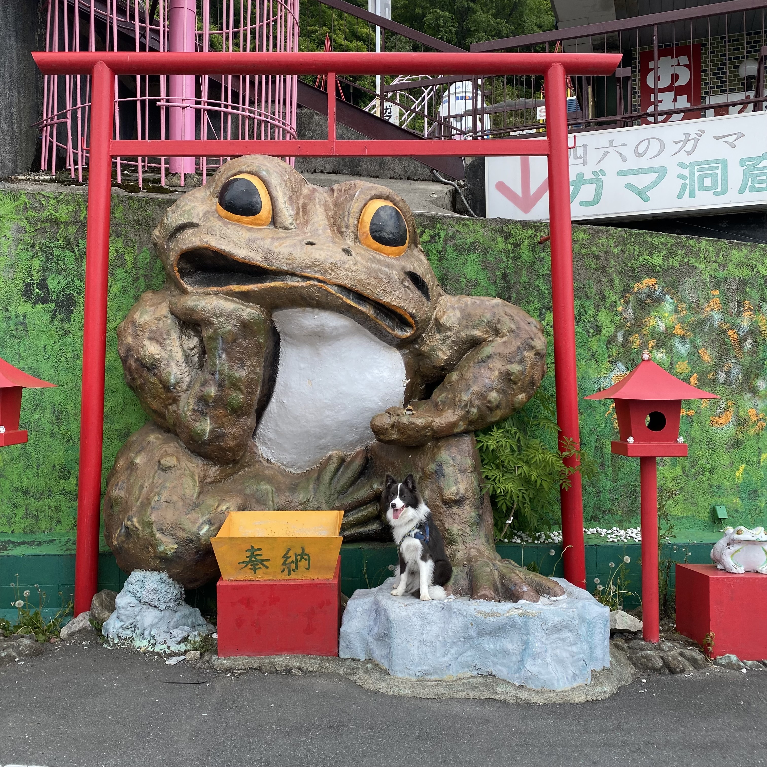 COL ADVENTURES #001 筑波山で秋のパワーチャージ