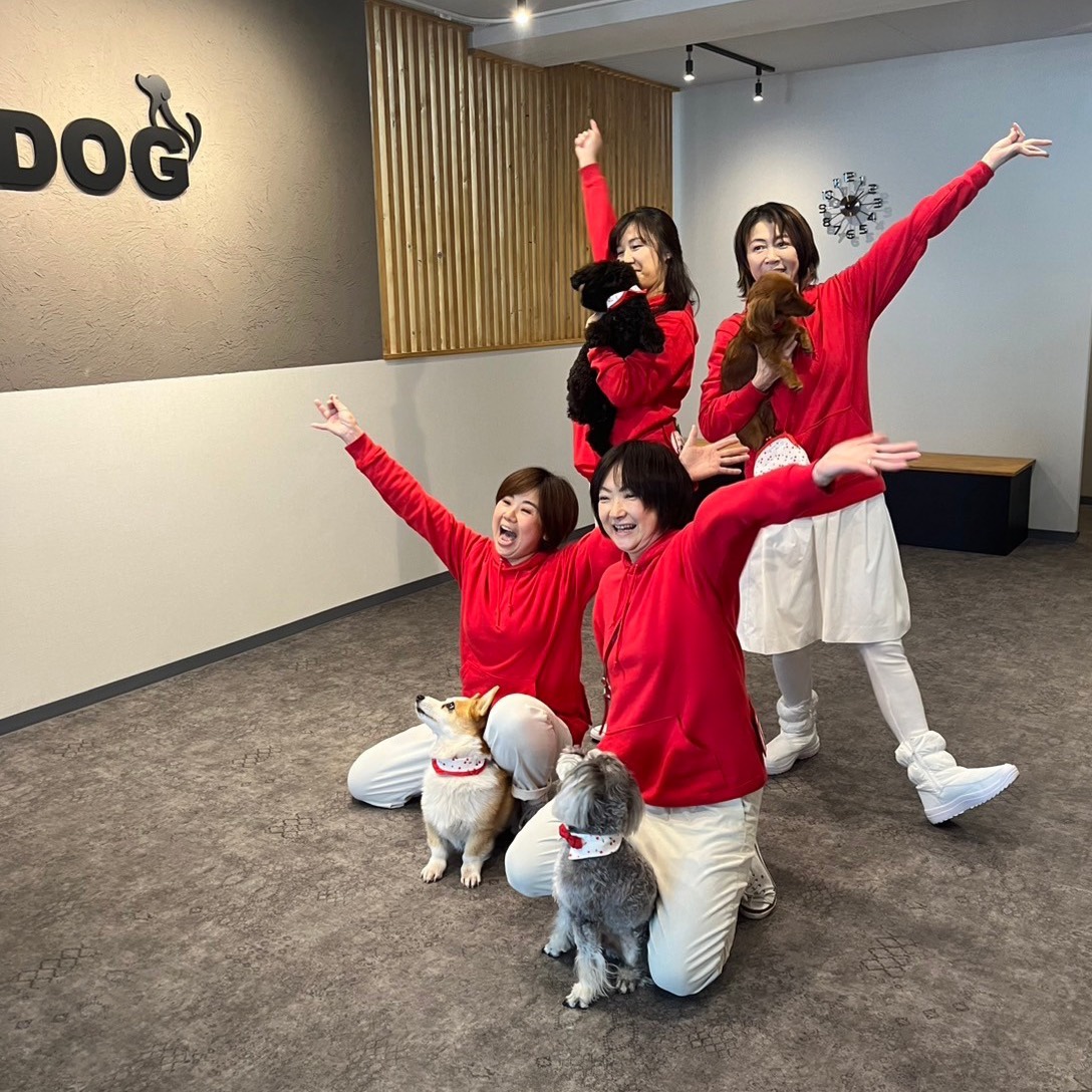 ドッグダンス発表会