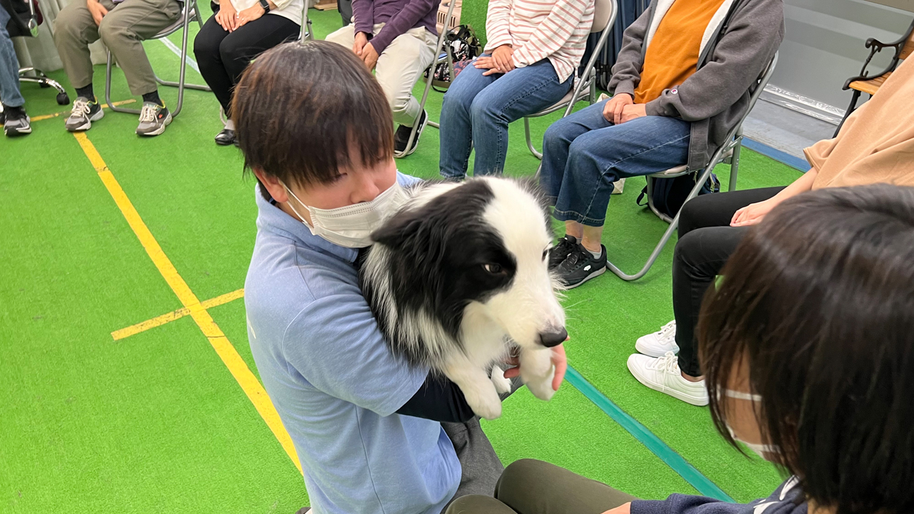 ドッグセラピーの様子