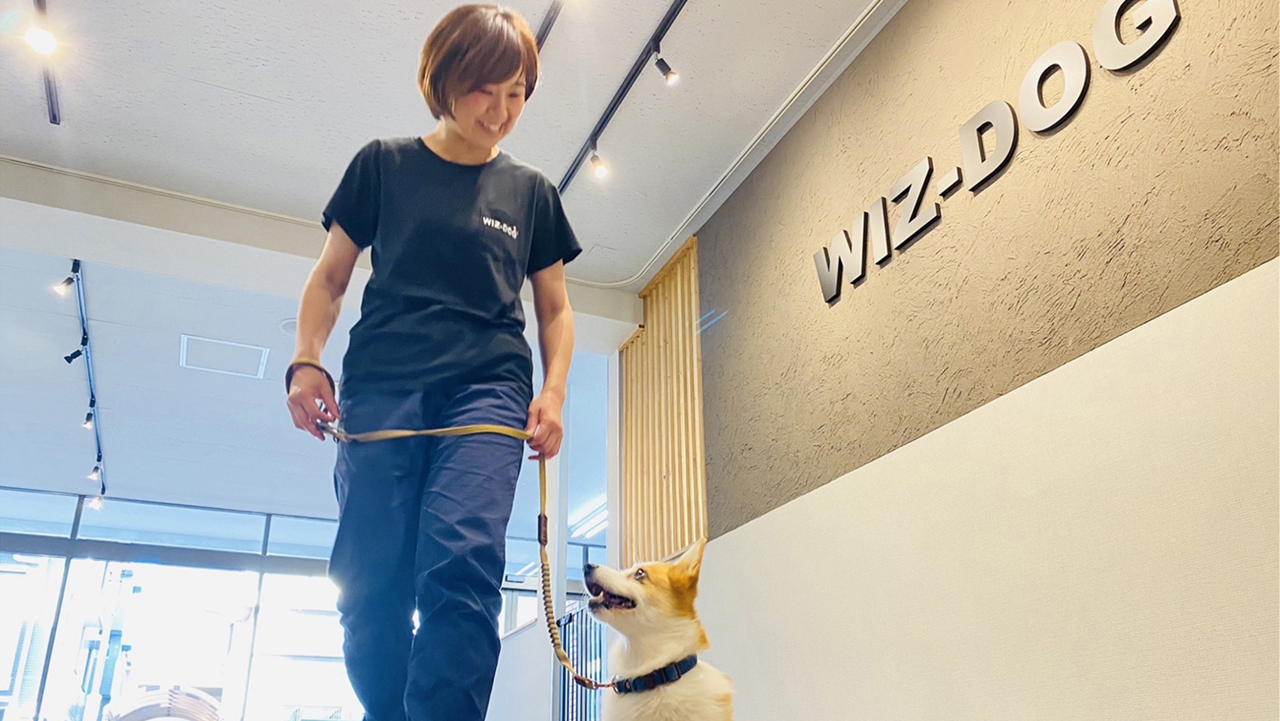 ドッグトレーニングの様子