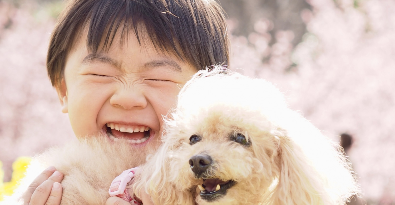 �W���j�A/�L�b�Y�h�b�O�g���[�i�[�R�[�X