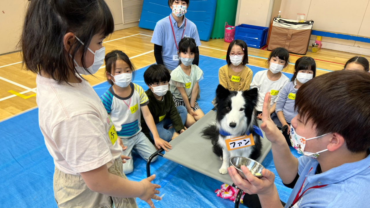 ドッグセラピー