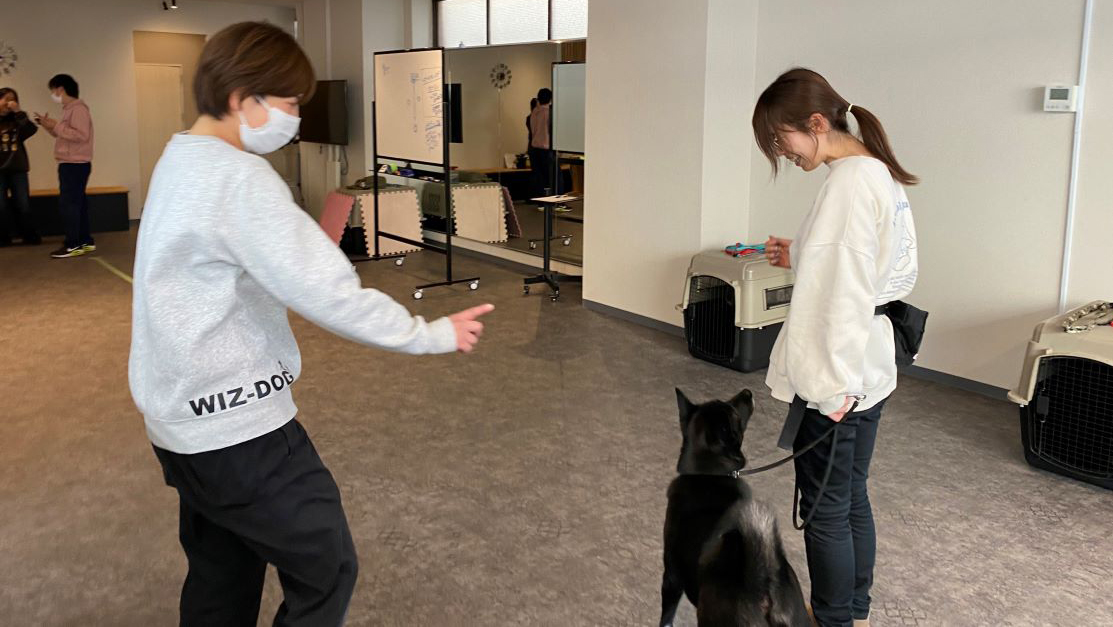 イベント実施方法練習会