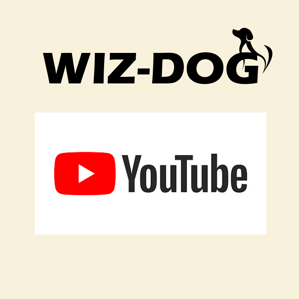 Youtube公式アカウント