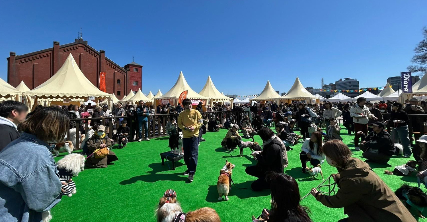 ドッグダンス体験会