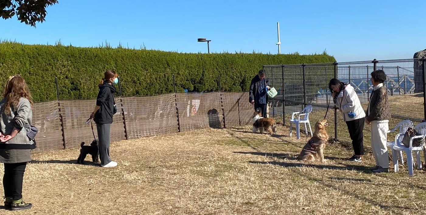 しつけ方教室体験会