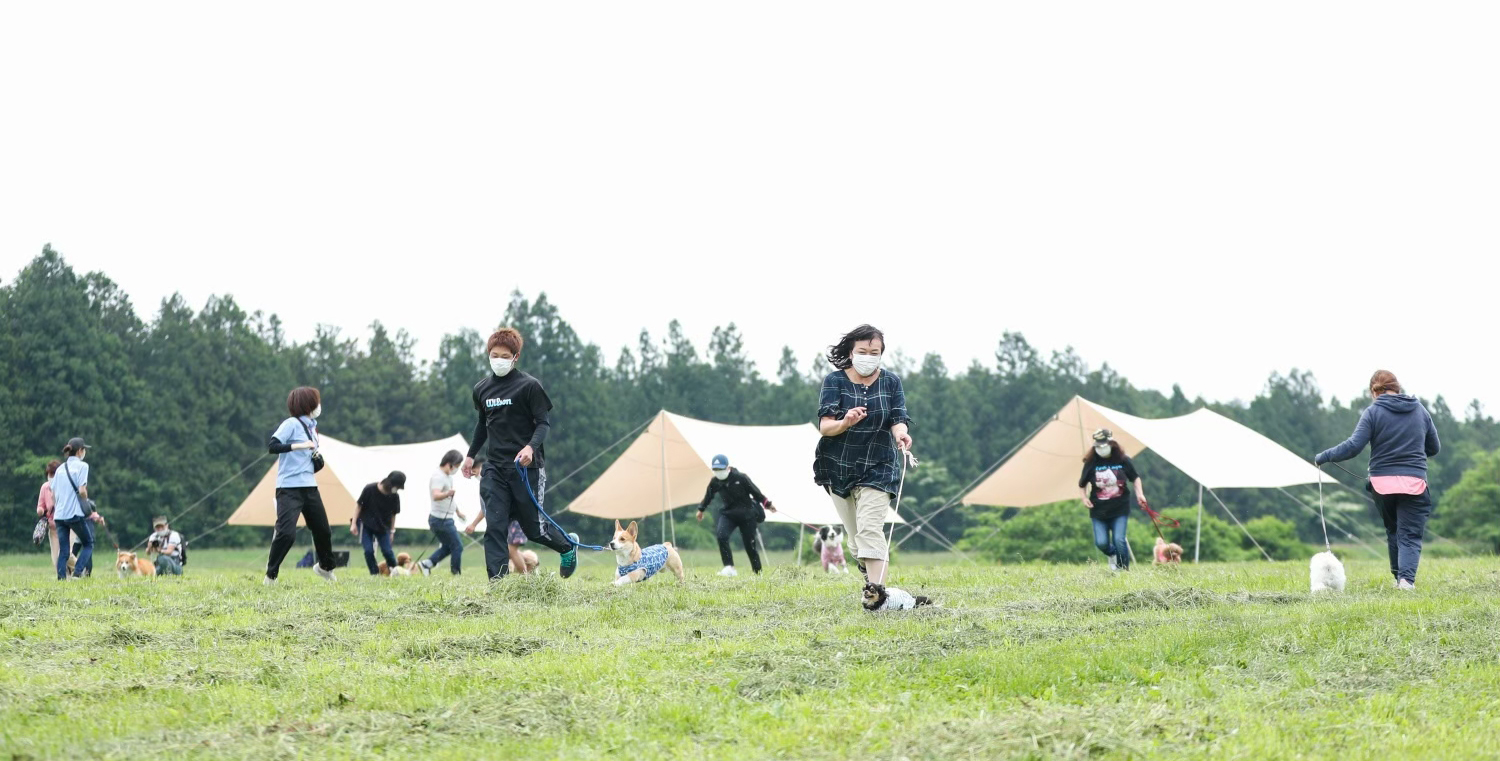 愛犬参加型ゲームの実施