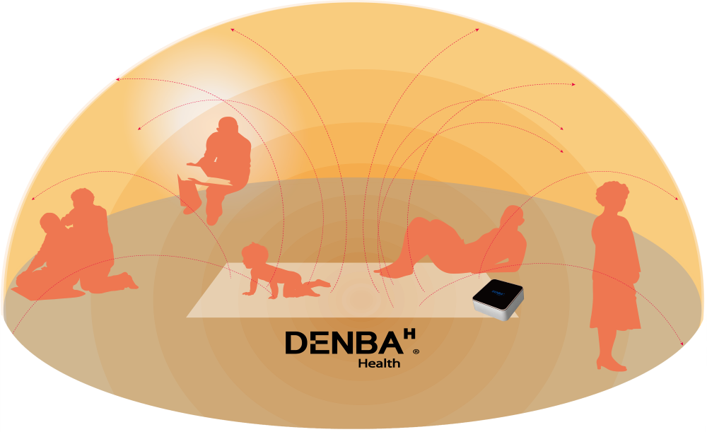 denba electric field