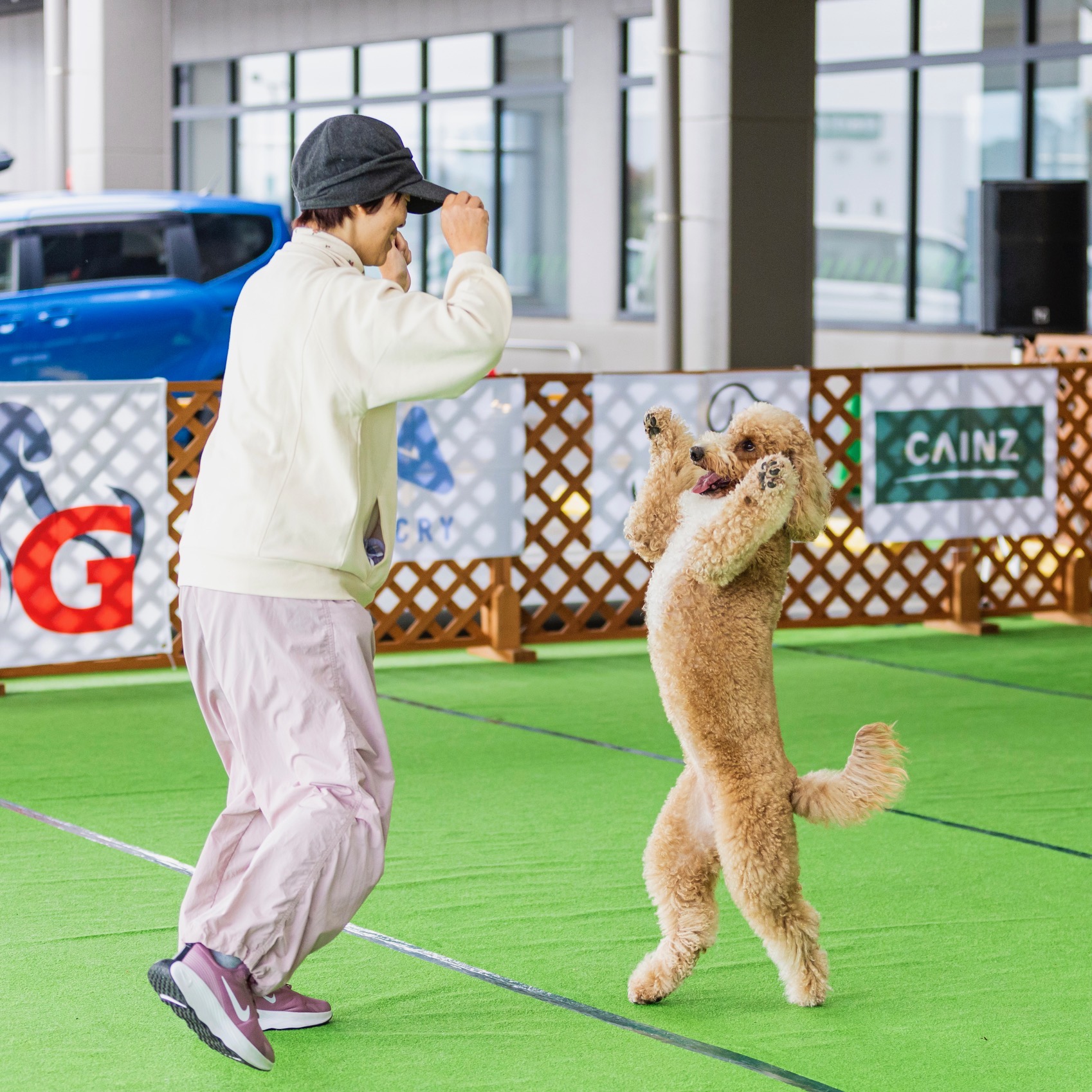 �p�c�䂩��