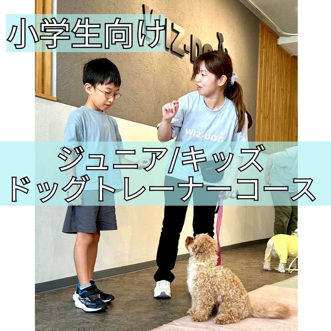 ジュニア/キッズドッグトレーナーコース